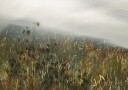 In the field Poster Plakat / 40x50cm