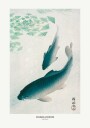 Carp Or Koi Plakat / 40x50