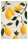 Citrus Symphony Plakat Plakat / 100x150cm