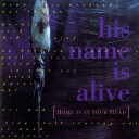 His Name Is Alive  Home Is In Your Head  CD