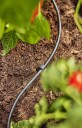 Gardena Fordelingsrør 4,6 mm (3/16") 15 m