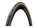 Continental Grand Prix 5000 All Season Tr Dekk