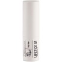 Ecooking Lipstick 01