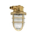 Andromeda 221 taklampe utendørs