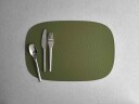 Aida - Life in colour - Karim Rashid bordbrikke 45x30,6 cm Olive