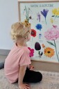 Ciha  Plakat 50 x 70 cm Fargene og blomstene