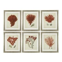 Eichholtz Print Antique Red Corals set of 6