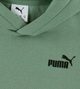 Puma Ess Small No. 1 Logo Relaxed H Green Moon 164 Hoodies