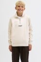 Jack & Jones Junior Quarter Zip Collegegenser Moonbeam 140