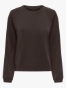 Only Kaya Life Long Sleeve Top JRS Brun XS
