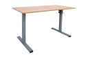 Skrivebord Ergo Optimal med motor 120x60 cm Tre/Grå  