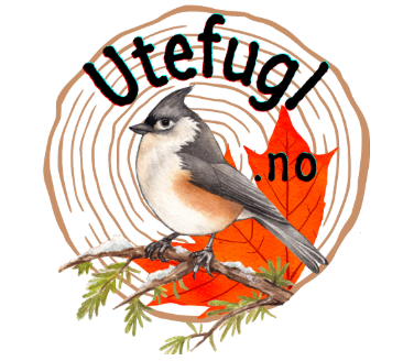 Utefugl.no